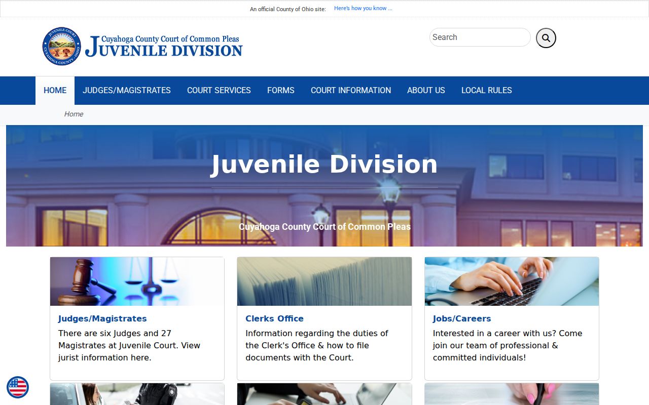 Cuyahoga County criminal docket Juvenile Court access point