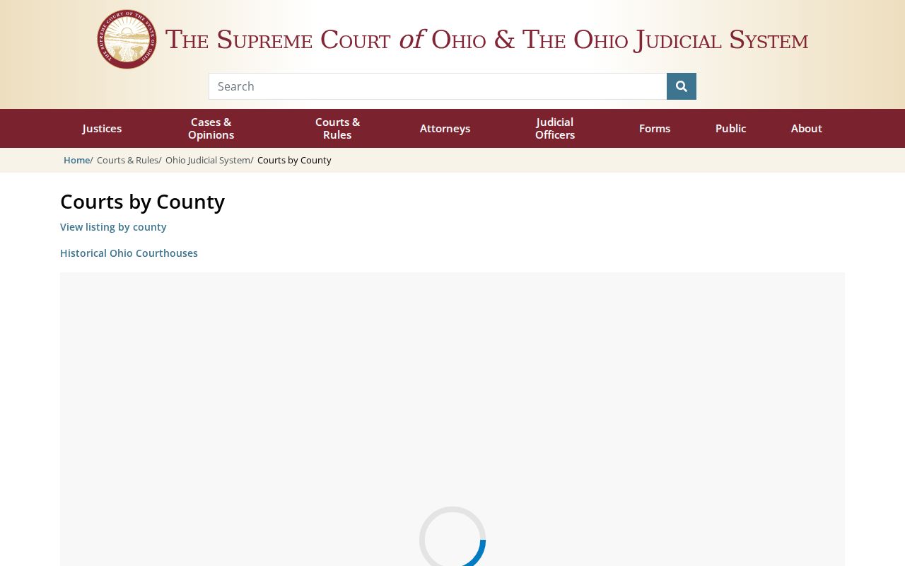 Cuyahoga County court docket Ohio trial court directory